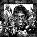 Lp 12” Hellshock -  Shadows of the afterworld