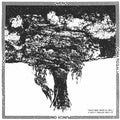 Lp 12” Split Overo / Punch on