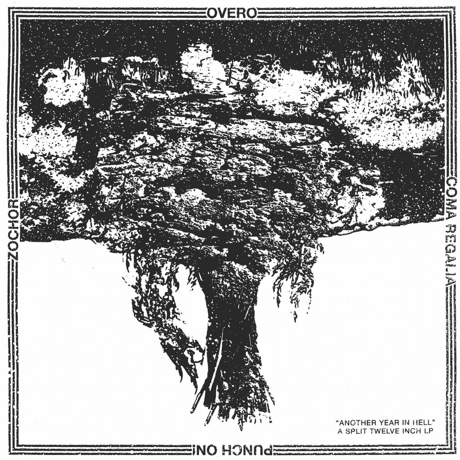 Lp 12” Split Overo / Punch on