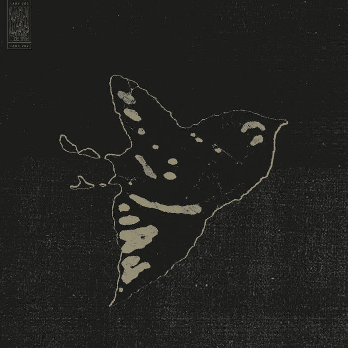 Lp 12” Daïtro -Des cendres