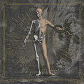 Lp Split 12” Lamorte / Foss
