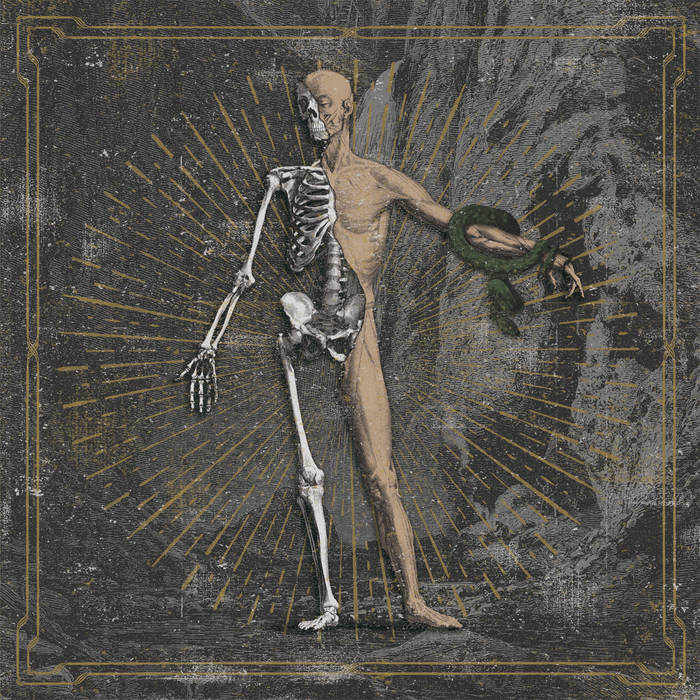 Lp Split 12” Lamorte / Foss