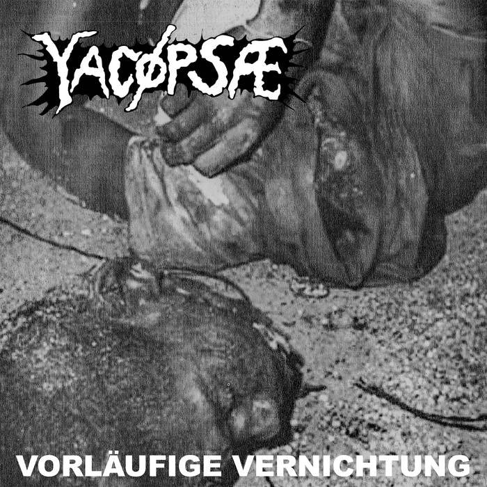 Lp 12” Yacøpsae - Vorläufige Vernichtung