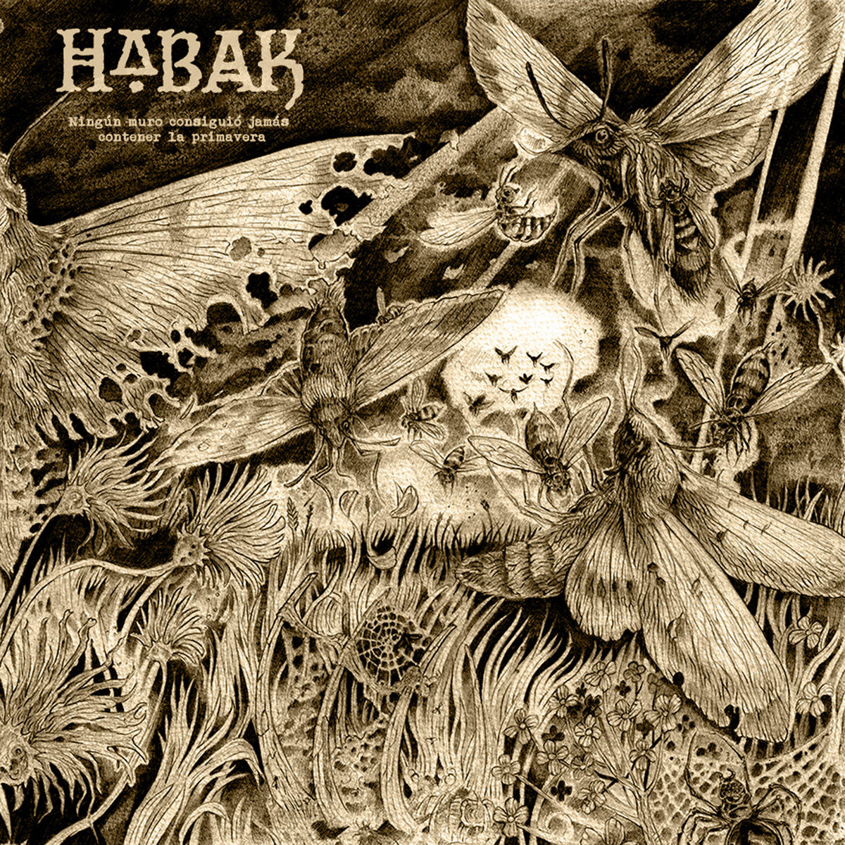 Lp 12” Habak - Ningún muro consiguió jamás contener la primavera
