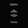 Split 12” Lágrimas / Habak